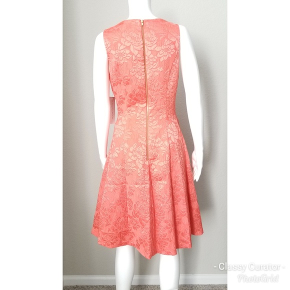 NWT MAGGY LONDON coral jaquard  dress - Picture 5 of 6